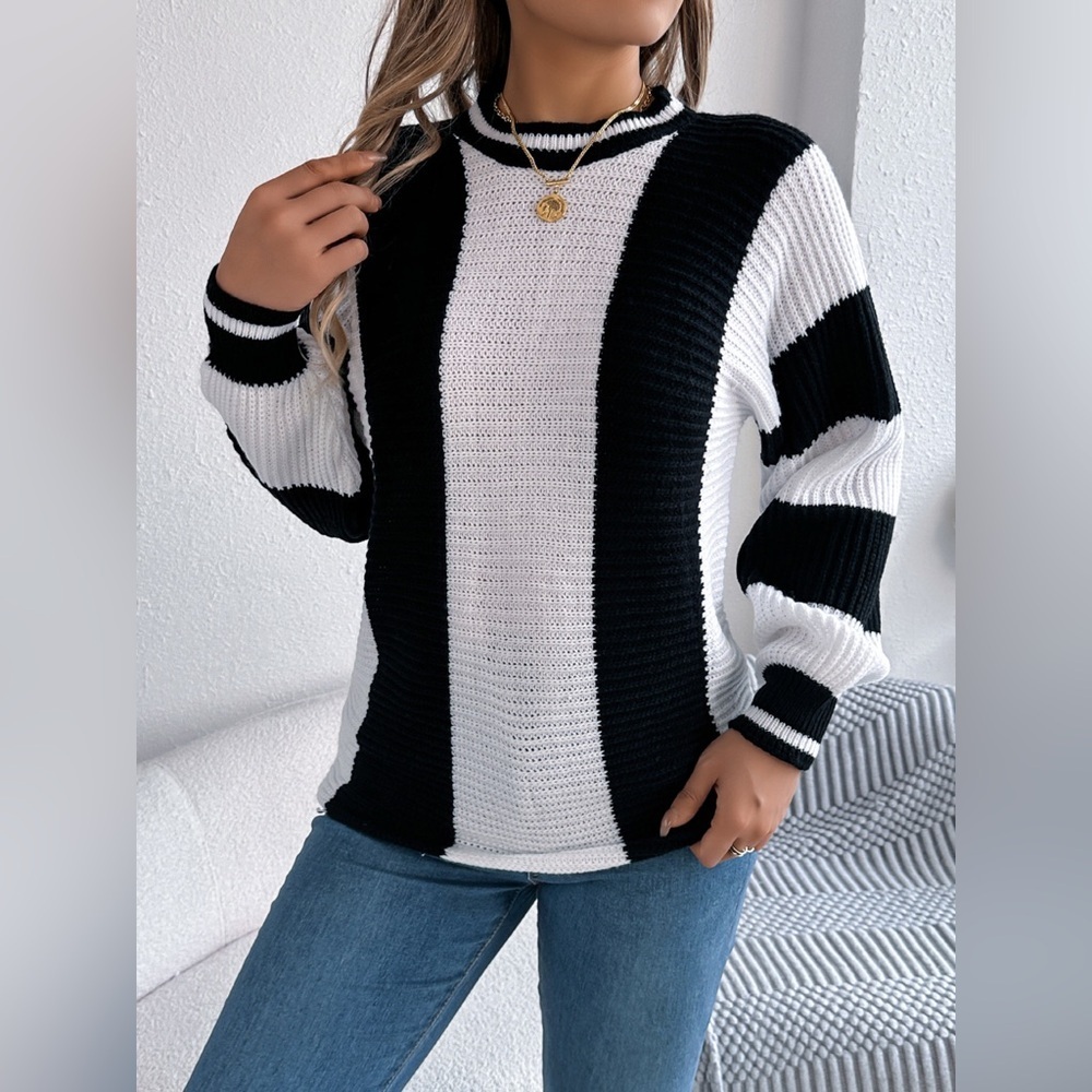 Color Block Round Neck Sweater - Picture 3 of 12